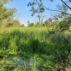 Lehmgeide Großzschepa