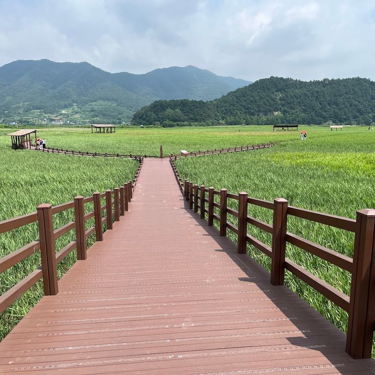 순천만자연생태공원