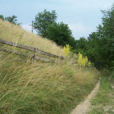 Toužínské stráně