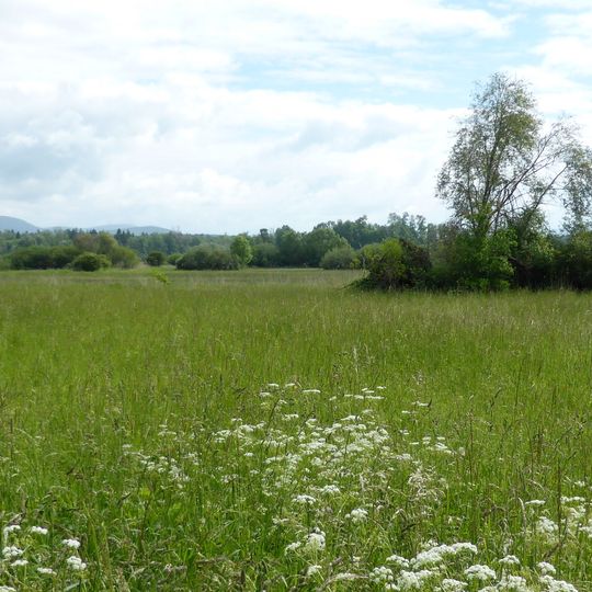 Altlaufsenke zwischen äußerem Mühlgraben und Kühmoos