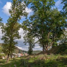 Drei Burgeichen in Burgthann