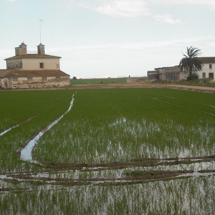 Albufera Natuurpark