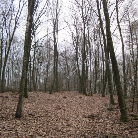 Stiftswald St. Arnual