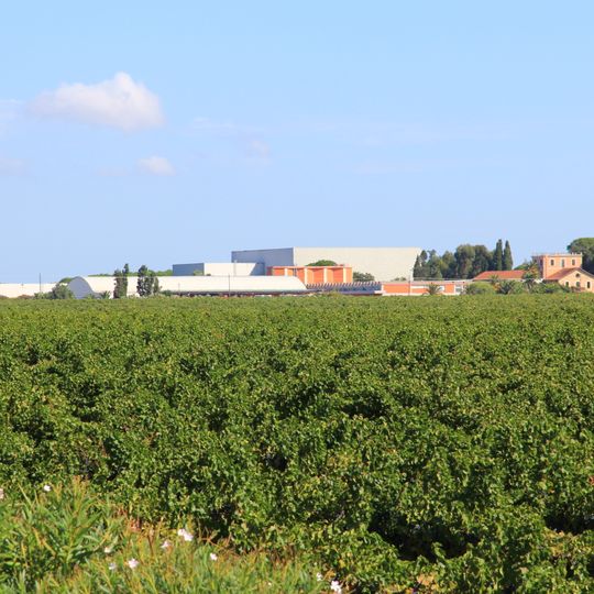 Museo "Sella e Mosca"