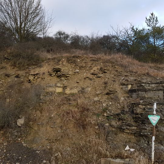 Naturdenkmal Felspartie Schlüsseläcker Im Grund