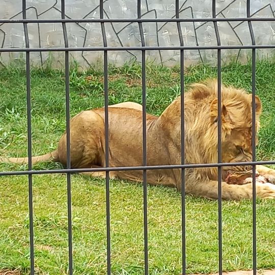 Zoológico Municipal de Guarulhos