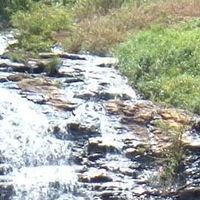 Kodagu district