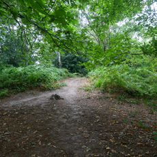 Bowl barrow in Millpond Wood