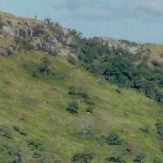 Biligiriranga Hills