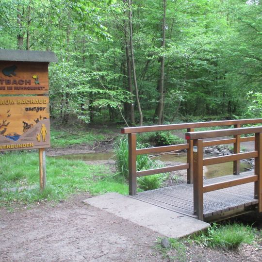 NSG Kirchheller Heide und Hilsfelder Wald <BOT>