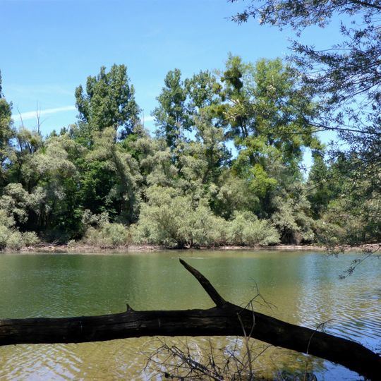 Altrhein Neuburgweier