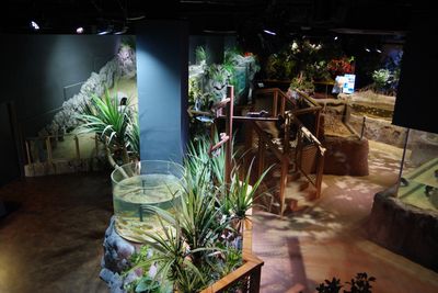 Interior 1