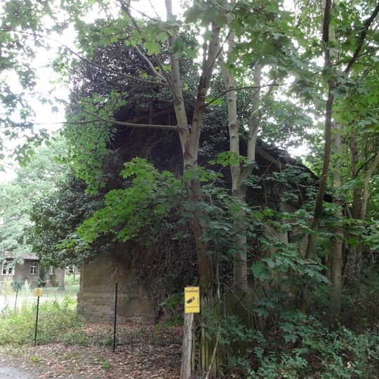 Naturdenkmal Efeu  Wirtschaftsgebäude 'Unter den Eichen'/'Am Wald'; Flur 3, Flurstück 106 in Zesch am See