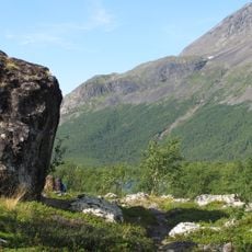 Pärlälvens fjällurskog