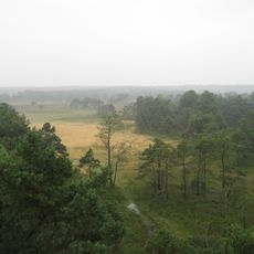 Kalmthout Heath