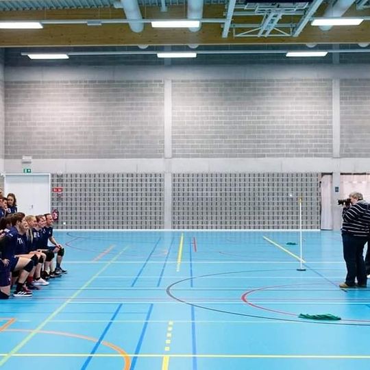 Ghent Wolves Dodgeball Club