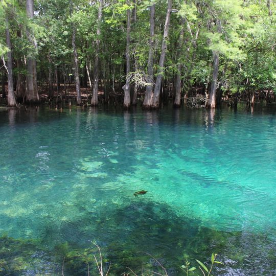 Manatee Springs State Park