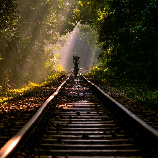 Parco nazionale di Lawachara