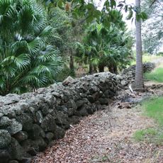 South Sea Islander Wall