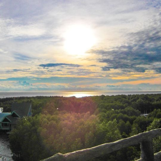 Parc national de Mũi Cà Mau