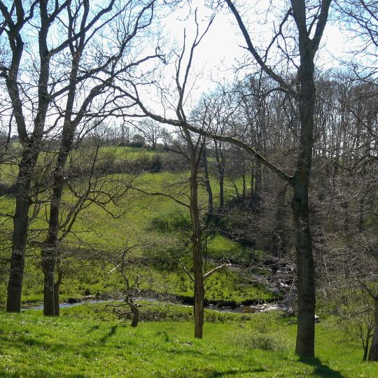 Munkbrarupau- und Schwennautal