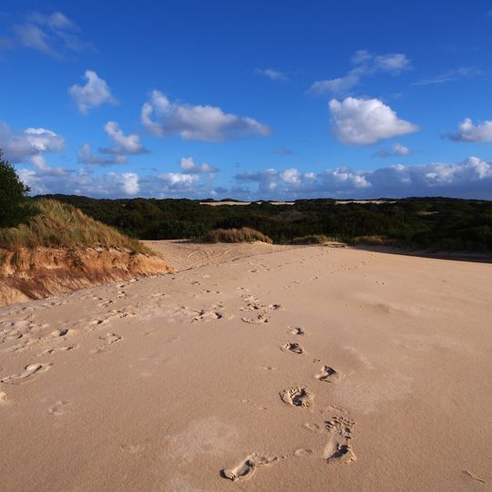 Henty Dunes