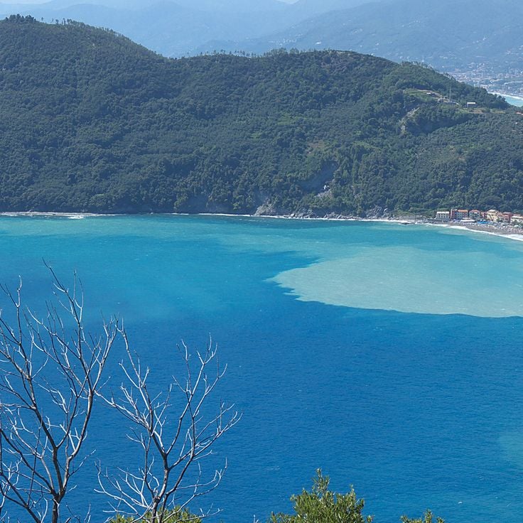 Punta Manara