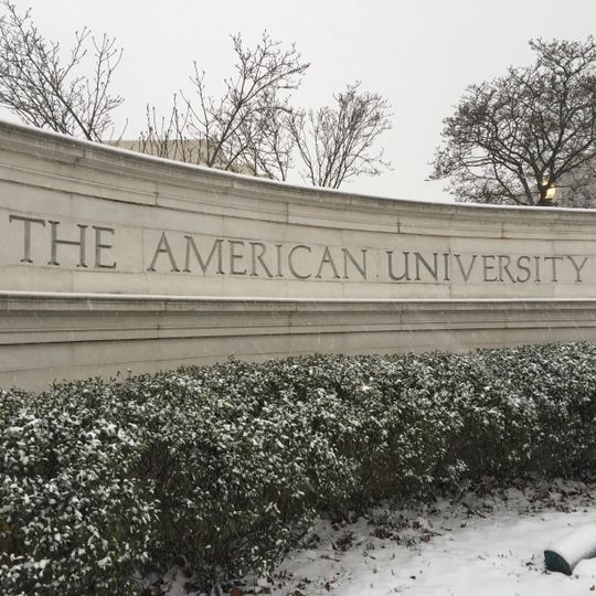 American University