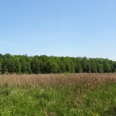 Sukachove hydrological sanctuary