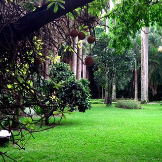 Central University Botanical Garden