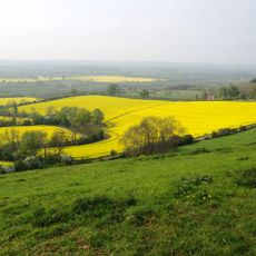 Sunrising Hill