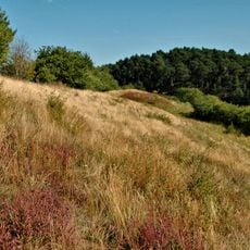 Harslebener Berge und Steinholz
