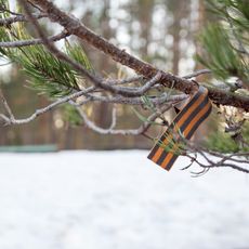 Сад, посаженный в честь воинов 3-й Фрунзенской дивизии Ленинградского народного ополчения, павших в 1941 г. (Сяндеба)