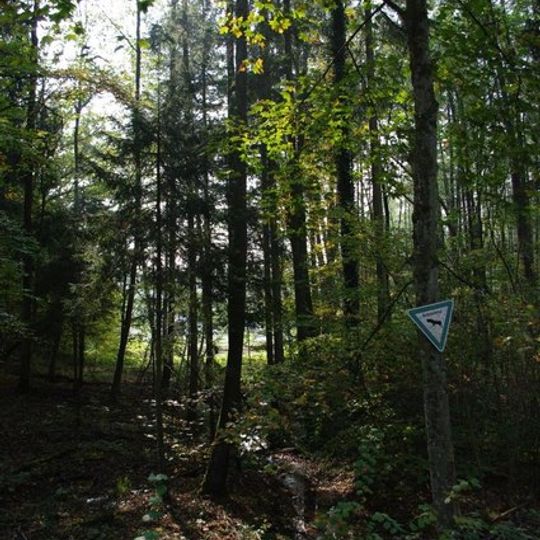 Feuchtgebiet im Rohrbachtal