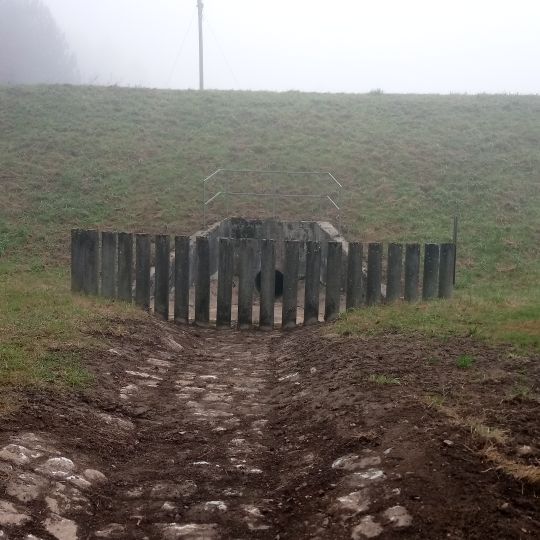 Hochwasserrückhaltebecken Hohlgraben