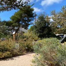 Manhattan Beach Botanical Garden