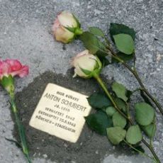 Anton Schubert