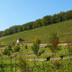 Satzenberg