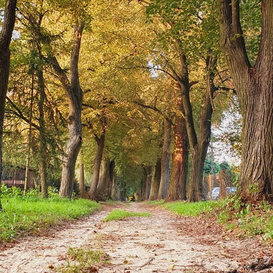 Budynek główny w Otrębusach