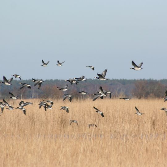 Vorpommersche Boddenlandschaft und nördlicher Strelasund