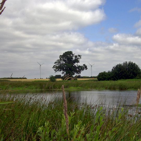 Schlatt am Friedeholz