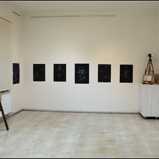 Galerie Emila Juliše