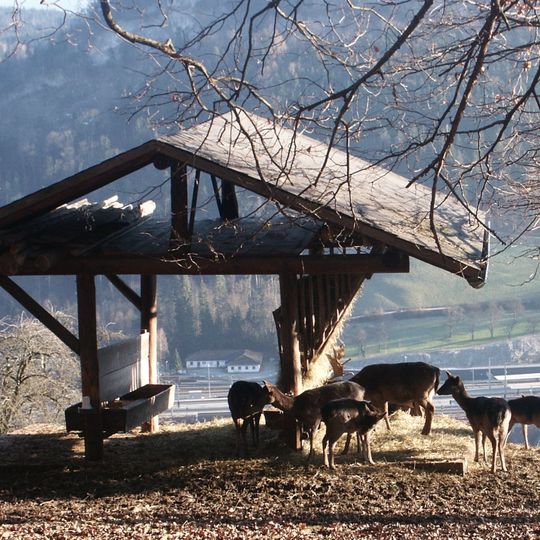 Wildlife park Feldkirch