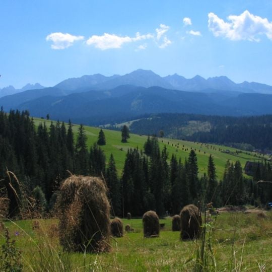 Bukowina Tatrzańska