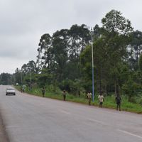 Ruwenzori