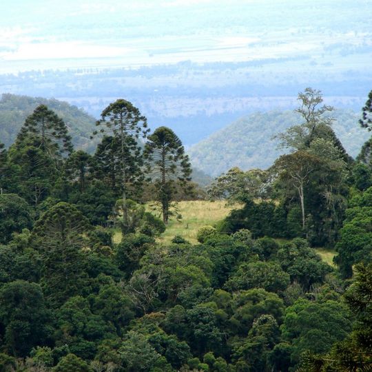 Bunya Mountains National Park