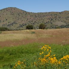 Canelo Hills