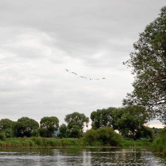 Regentalaue zwischen Cham und Pösing