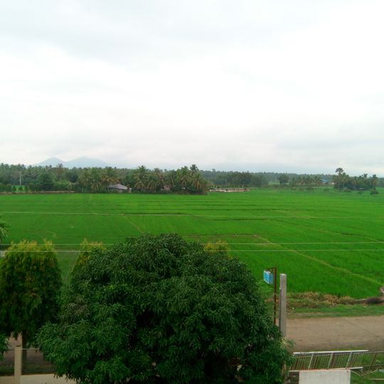 Provincia di Davao del Sur