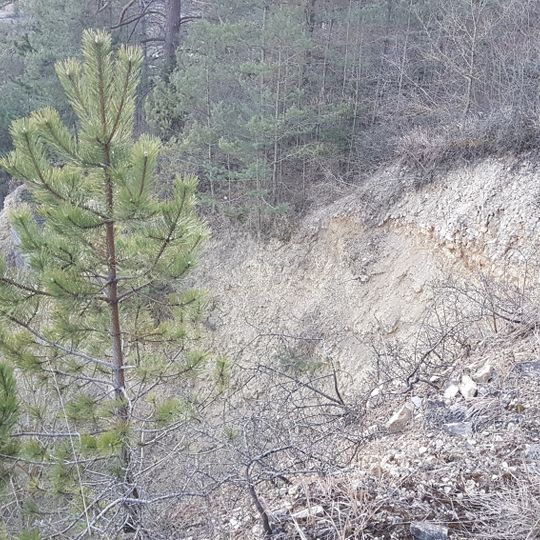 Naturdenkmal Trockenhang Hintere Brehmenleite